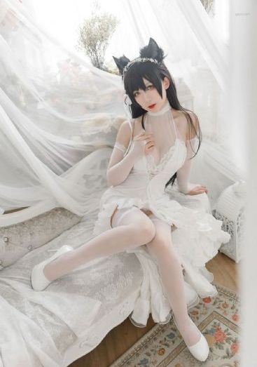 365霸道总裁大佬第1季