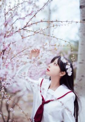 青青河边草高清免费版视频